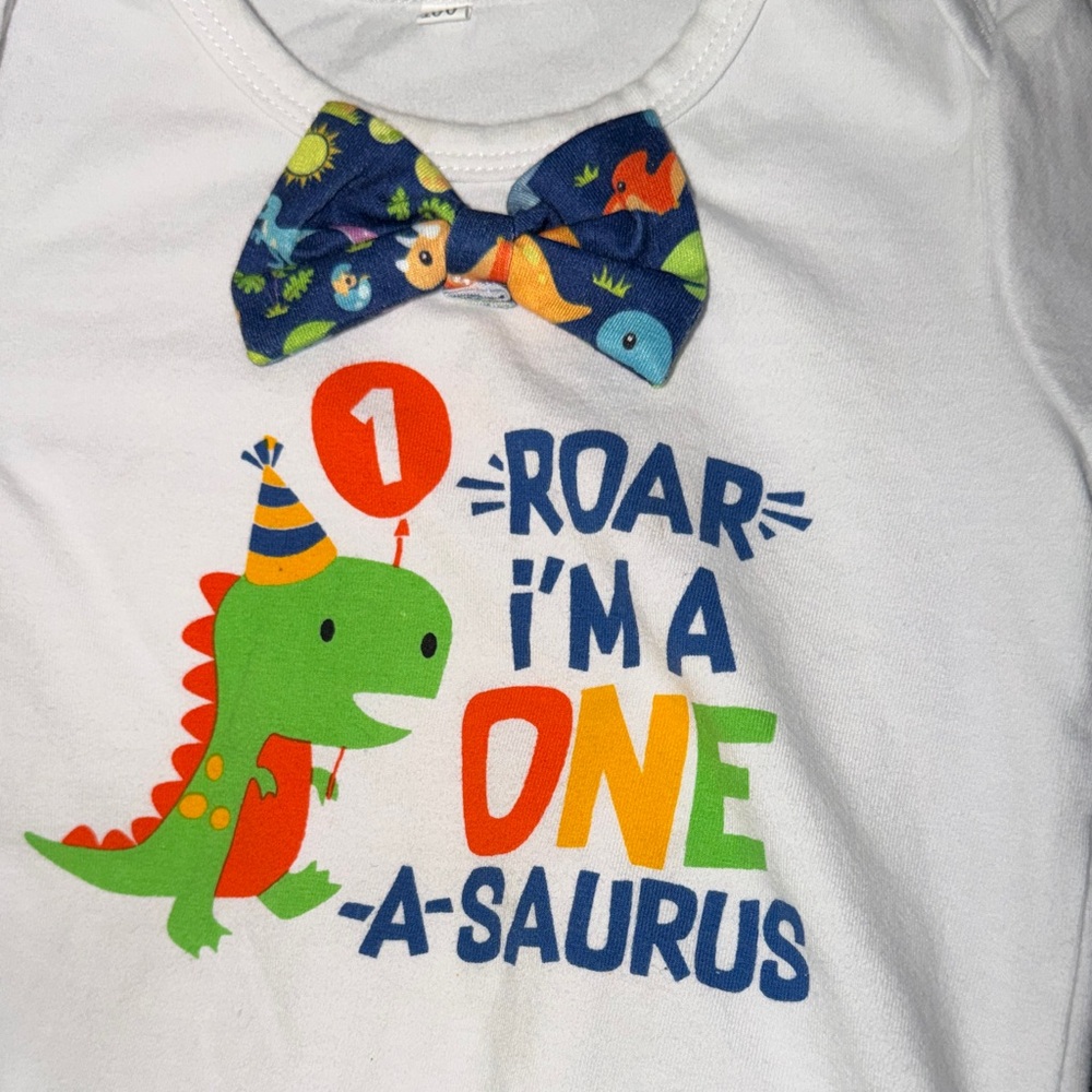 Dinosaur Themed Kids Matching Set